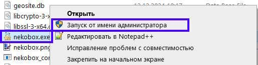 Вставка ключа в NekoRay